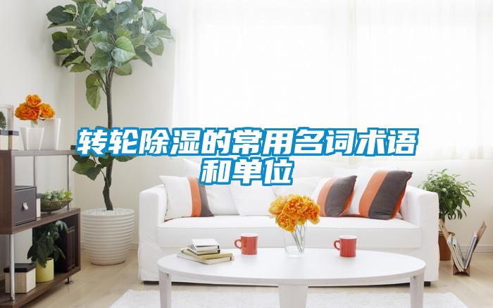 轉輪91看片网站视频的常用名詞術語和單位