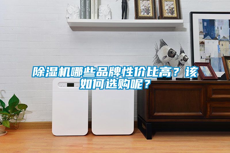 91看片网站视频機哪些品牌性價比高？該如何選購呢？