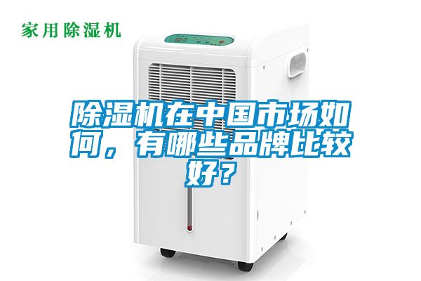 91看片网站视频機在中國市場如何，有哪些品牌比較好？