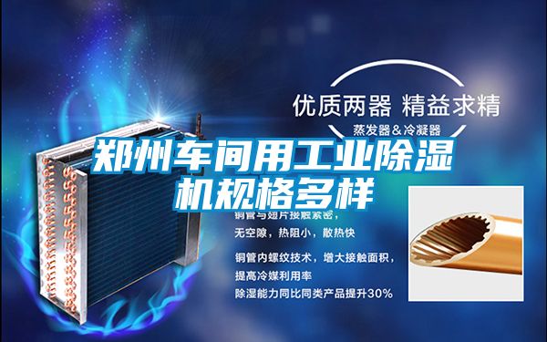 鄭州車間用工業91看片网站视频機規格多樣