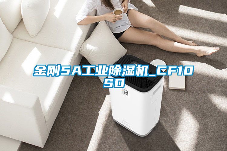 金剛5A工業91看片网站视频機_CF10SD