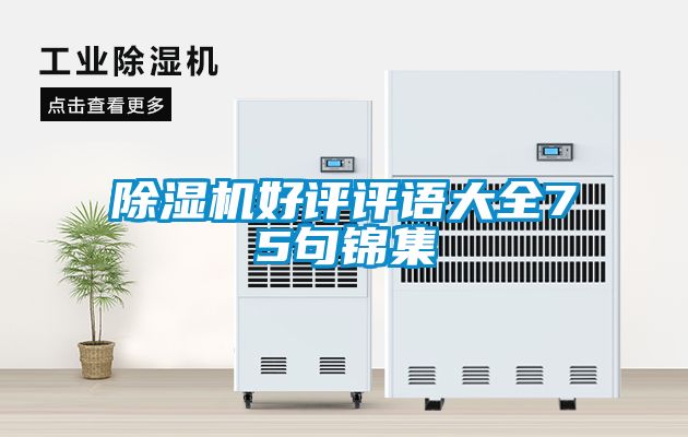 91看片网站视频機好評評語大全75句錦集