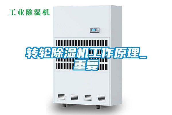 轉輪91看片网站视频機工作原理_重複