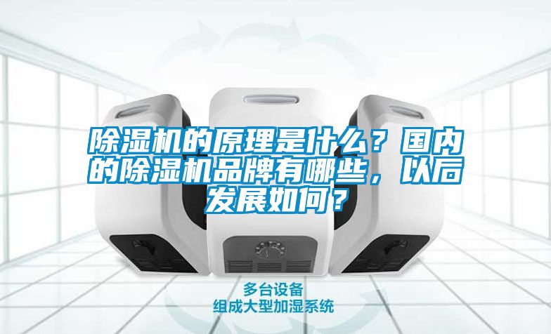 91看片网站视频機的原理是什麽？國內的91看片网站视频機品牌有哪些，以後發展如何？