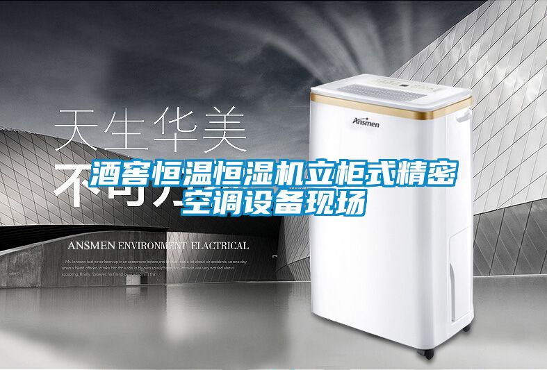 酒窖恒溫恒濕機立櫃式精密空調設備現場