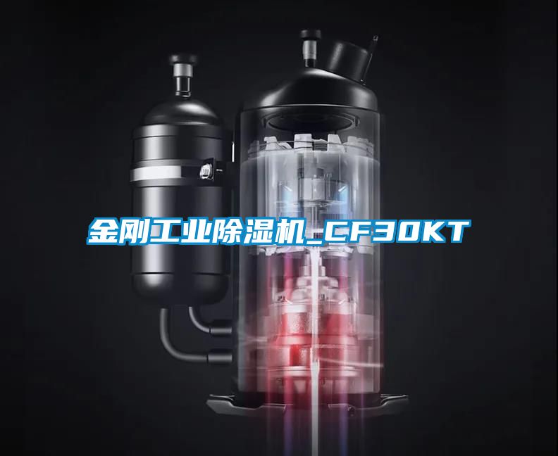 金剛工業91看片网站视频機_CF30KT