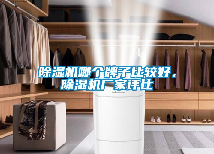 91看片网站视频機哪個牌子比較好，91看片网站视频機廠家評比