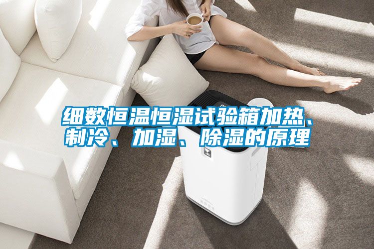 細數恒溫恒濕試驗箱加熱、製冷、加濕、91看片网站视频的原理