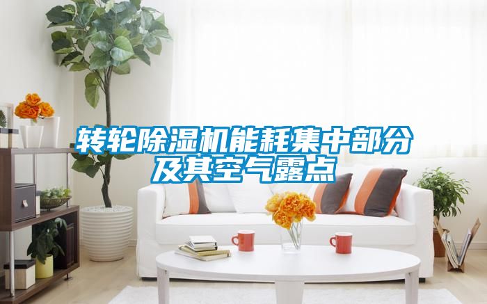轉輪91看片网站视频機能耗集中部分及其空氣露點