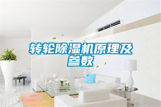 轉輪91看片网站视频機原理及參數