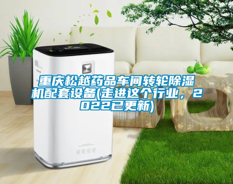 重慶鬆越藥品車間轉輪91看片网站视频機配套設備(走進這個行業，2022已更新)