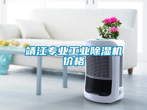 靖江專業工業91看片网站视频機價格