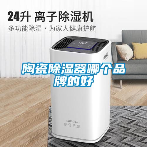 陶瓷91看片网站视频器哪個品牌的好