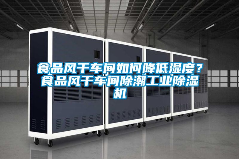 食品風幹車間如何降低濕度？食品風幹車間除潮工業91看片网站视频機