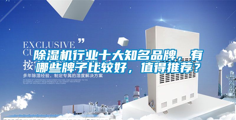 91看片网站视频機行業十大知名品牌，有哪些牌子比較好，值得推薦？
