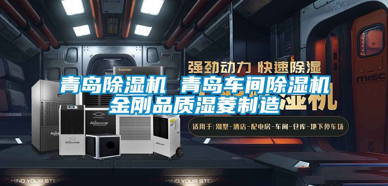 青島91看片网站视频機 青島車間91看片网站视频機金剛品質濕菱製造