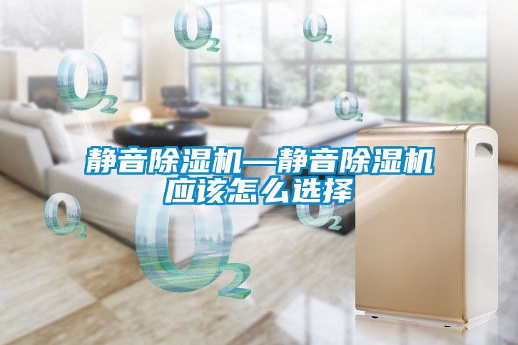 靜音91看片网站视频機—靜音91看片网站视频機應該怎麽選擇