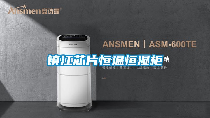 鎮江芯片恒溫恒濕櫃