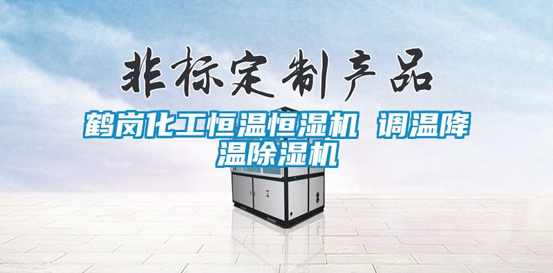 鶴崗化工恒溫恒濕機 調溫降溫91看片网站视频機