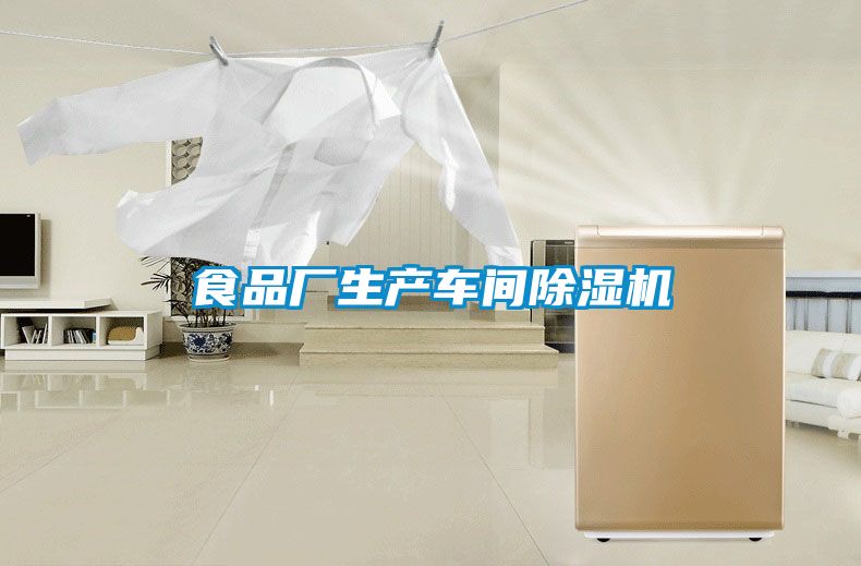 食品廠生產車間91看片网站视频機