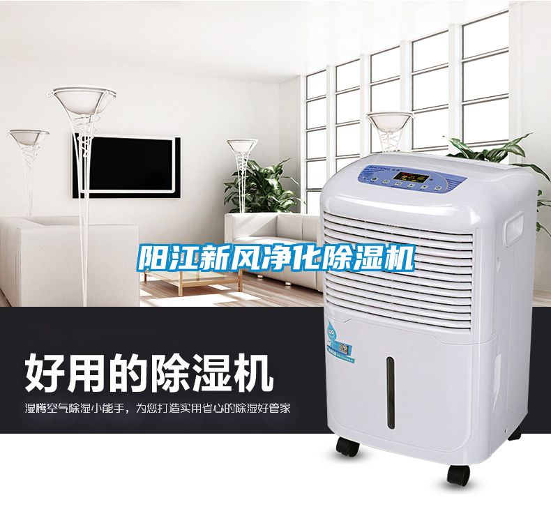 陽江新風淨化91看片网站视频機