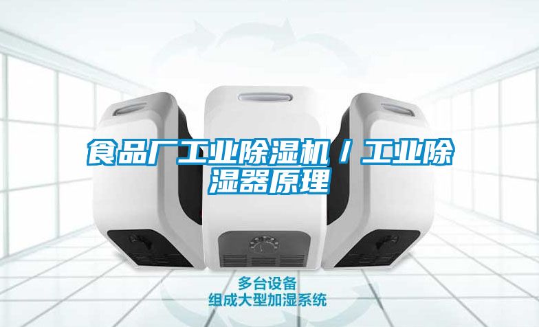 食品廠工業91看片网站视频機／工業91看片网站视频器原理
