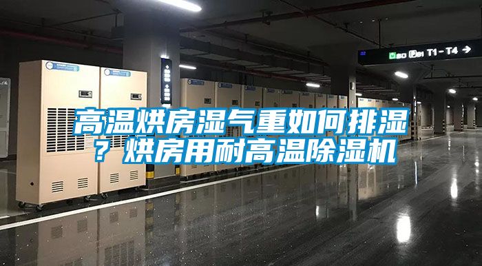 高溫烘房濕氣重如何排濕？烘房用耐高溫91看片网站视频機
