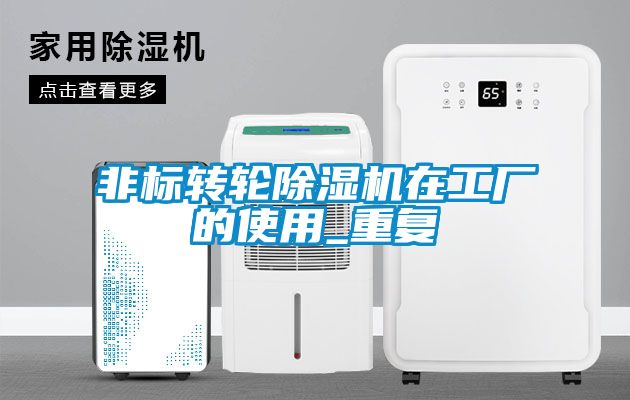 非標轉輪91看片网站视频機在工廠的使用_重複