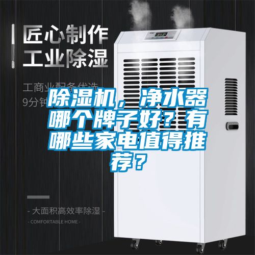 91看片网站视频機，淨水器哪個牌子好？有哪些家電值得推薦？