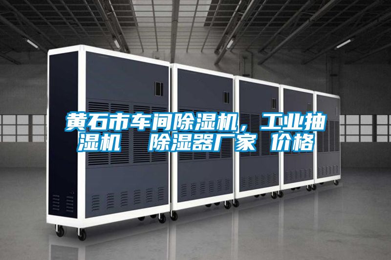 黃石市車間91看片网站视频機，工業抽濕機  91看片网站视频器廠家 價格