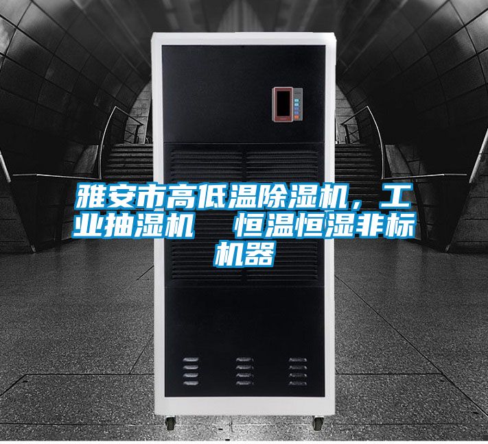 雅安市高低溫91看片网站视频機，工業抽濕機  恒溫恒濕非標機器