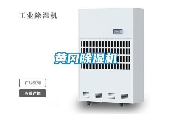 黃岡91看片网站视频機