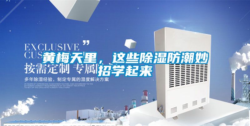 黃梅天裏，這些91看片网站视频防潮妙招學起來