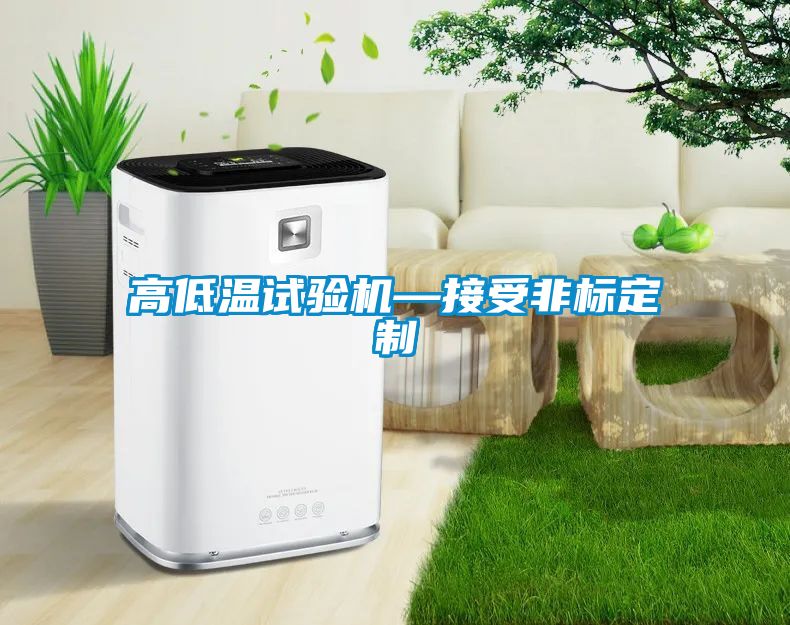 高低溫試驗機—接受非標定製