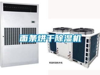 行業免费污视频看片APP麵條烘幹91看片网站视频機