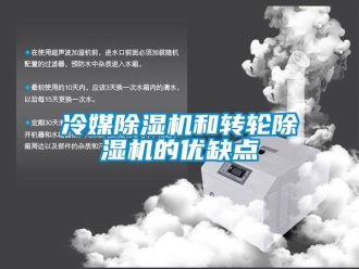 行業免费污视频看片APP冷媒91看片网站视频機和轉輪91看片网站视频機的優缺點