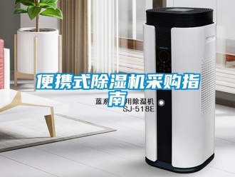 常見問題便攜式91看片网站视频機采購指南