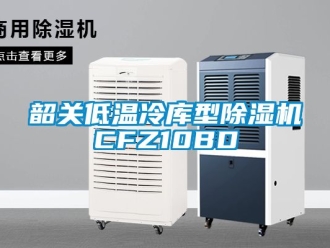 行業免费污视频看片APP韶關低溫冷庫型91看片网站视频機CFZ10BD