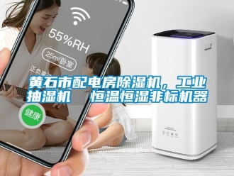 常見問題黃石市配電房91看片网站视频機，工業抽濕機  恒溫恒濕非標機器