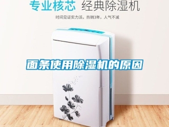 行業免费污视频看片APP麵條使用91看片网站视频機的原因