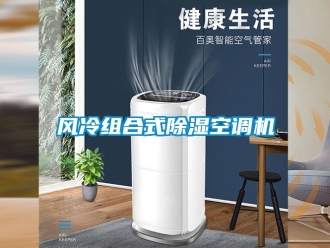 行業免费污视频看片APP風冷組合式91看片网站视频空調機