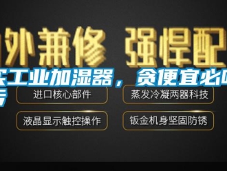 行業免费污视频看片APP買工業加濕器，貪便宜必吃虧