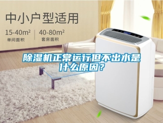 行業免费污视频看片APP91看片网站视频機正常運行但不出水是什麽原因？