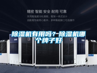 行業免费污视频看片APP91看片网站视频機有用嗎？91看片网站视频機哪個牌子好
