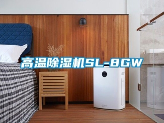 行業免费污视频看片APP高溫91看片网站视频機SL-8GW