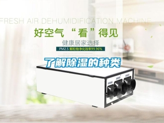 行業免费污视频看片APP了解91看片网站视频的種類