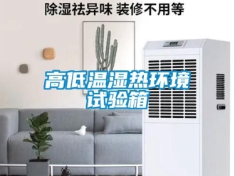 常見問題高低溫濕熱環境試驗箱