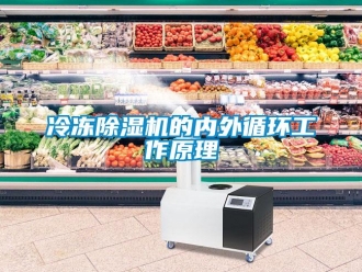 行業免费污视频看片APP冷凍91看片网站视频機的內外循環工作原理