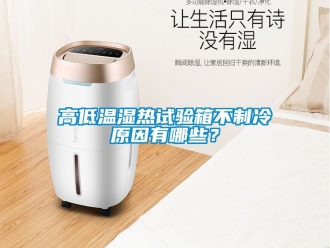 常見問題高低溫濕熱試驗箱不製冷原因有哪些？