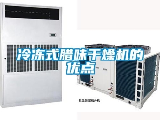 行業免费污视频看片APP冷凍式臘味幹燥機的優點